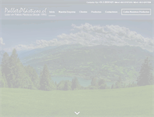 Tablet Screenshot of palletsplasticos.cl